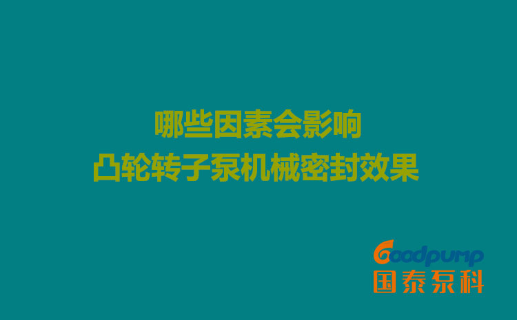 哪些因素會(huì)影響凸輪轉(zhuǎn)子泵機(jī)械密封效果